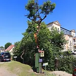 Lägenhet Ferienwohnung Meeresrausch In Ahlbeck