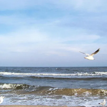 Daire Sea Noise, Ahlbeck Heringsdorf