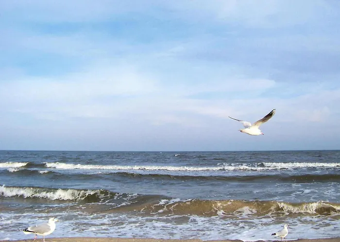 Lägenhet Sea Noise, Ahlbeck Heringsdorf (Usedom)